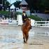 Sidesaddle